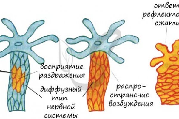 Ссылка на кракен тор kr2web in
