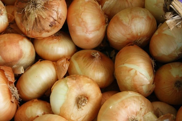 Kraken tor onion зеркало