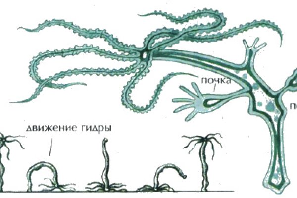 Kraken 18