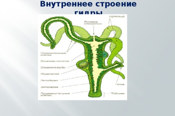 Kraken tor зеркало