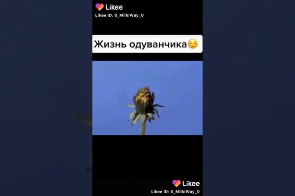 Сайт вместо гидры