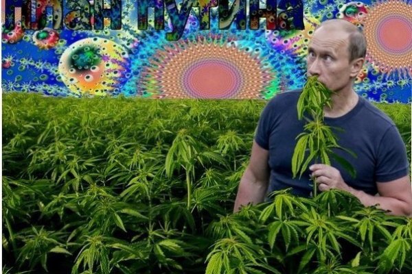 Кракен марихуана