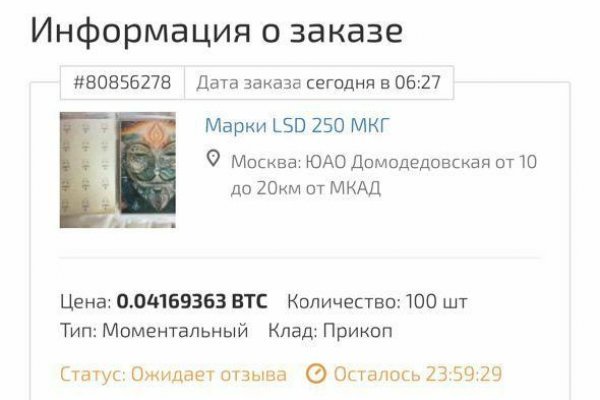 Kraken 24 top