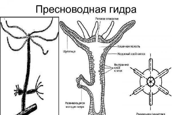 Кракен ссылка market pw