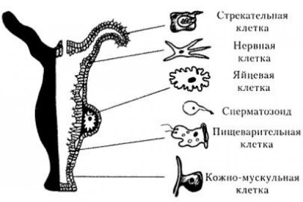 Список даркнет сайтов