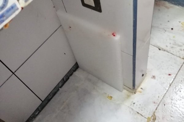 Ссылки на кракена и на мегу