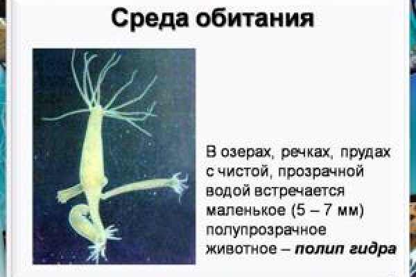 Как восстановить страницу на кракене