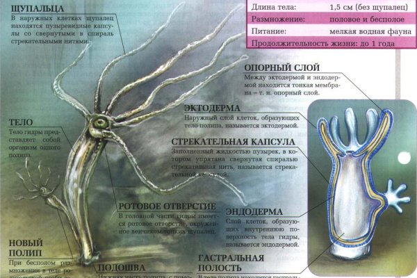 Кракен ссылка тор