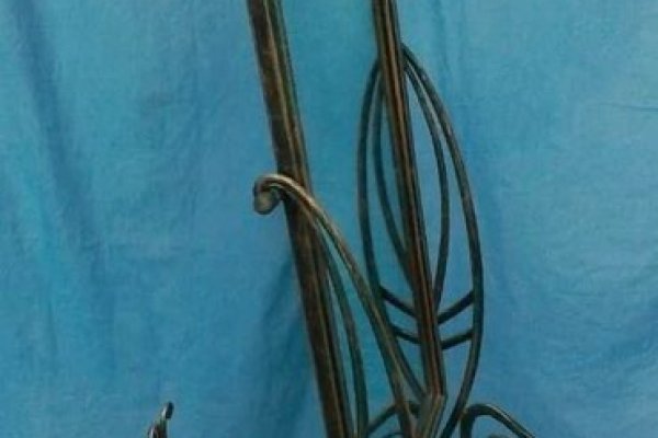 Kraken 17 at net