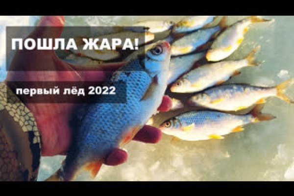 Кракен тг ссылка