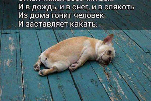 Кракен зеркало onion